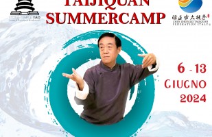 Taijiquan International Sumercamp